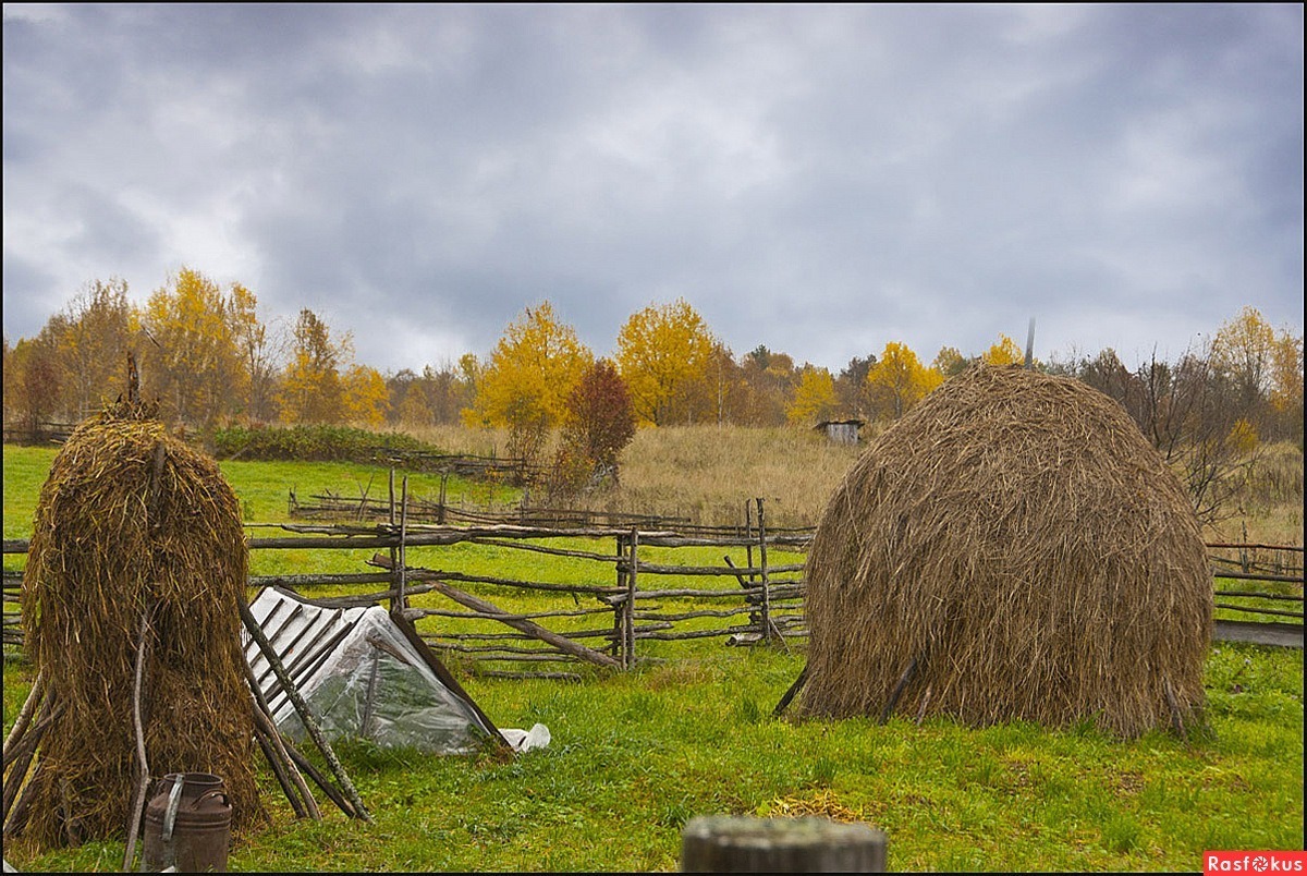 Иллюстрация к публикации