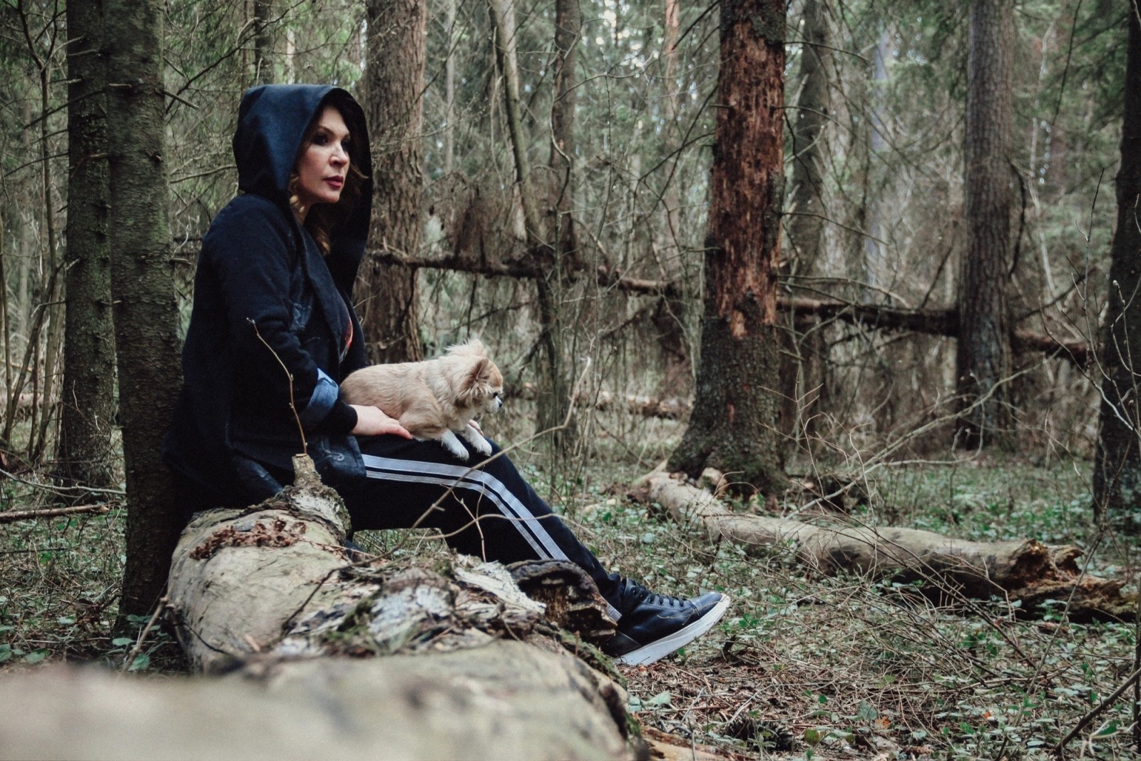 Иллюстрация к публикации