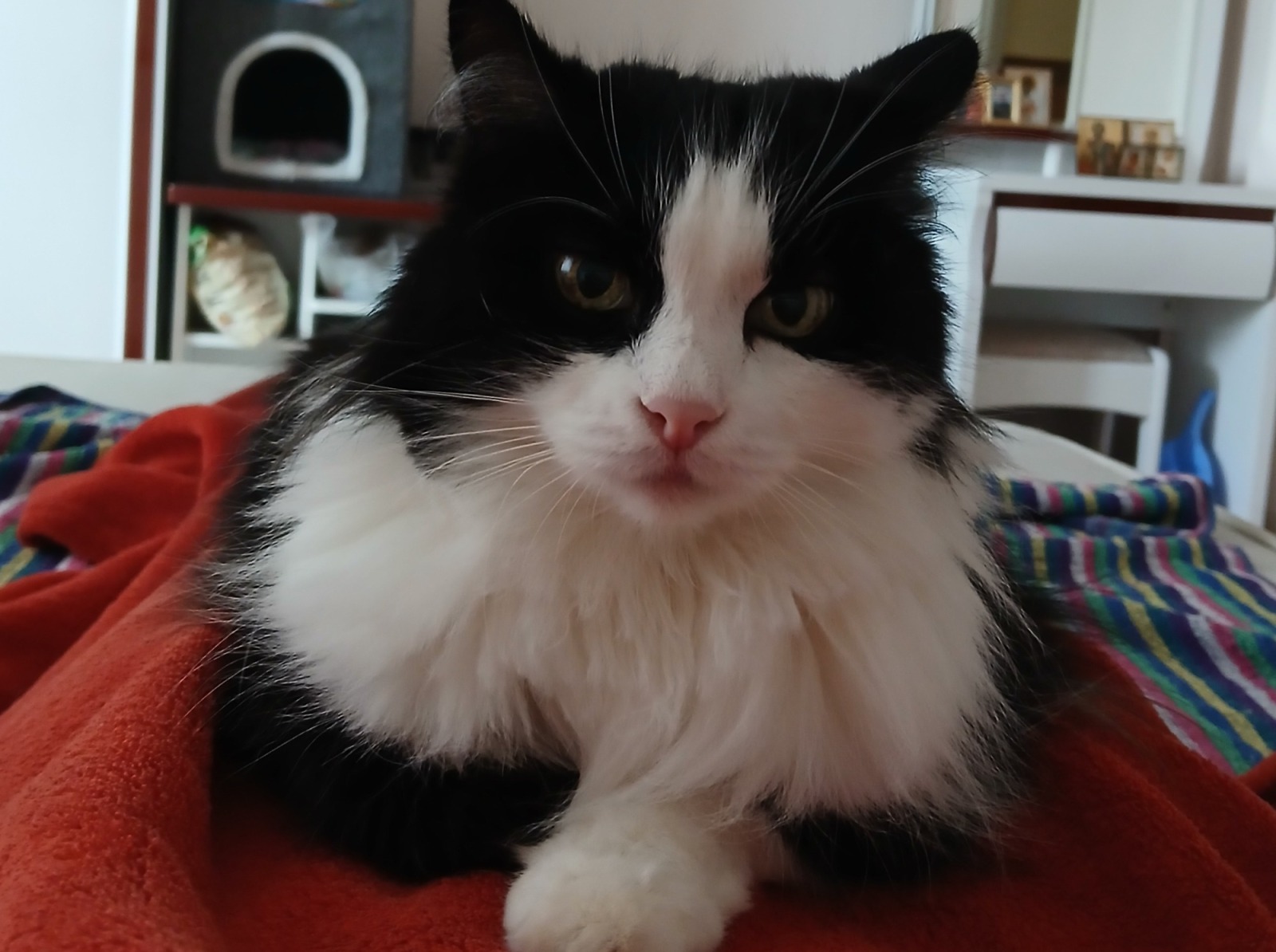 Иллюстрация к публикации