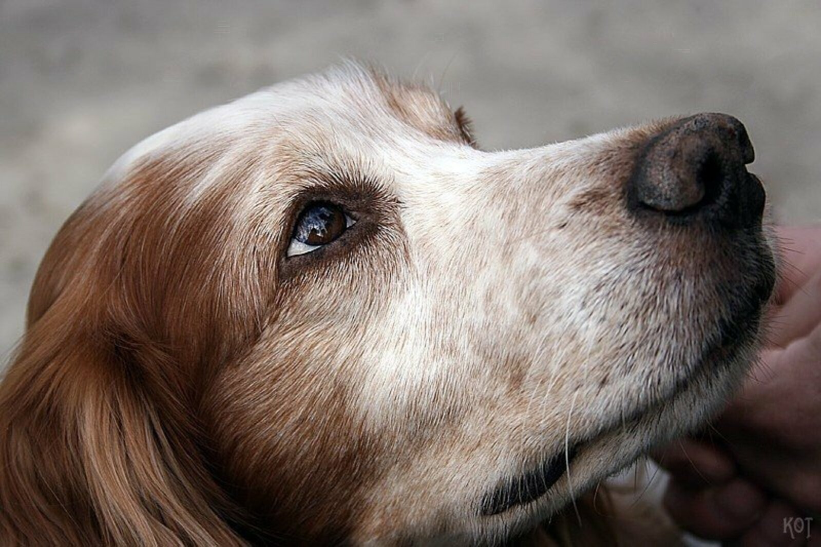 Иллюстрация к публикации