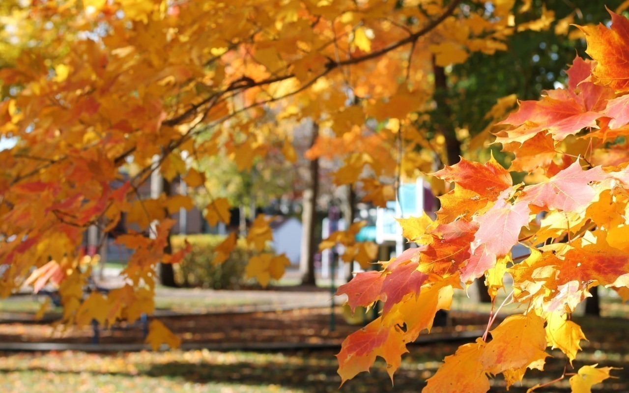 Иллюстрация к публикации