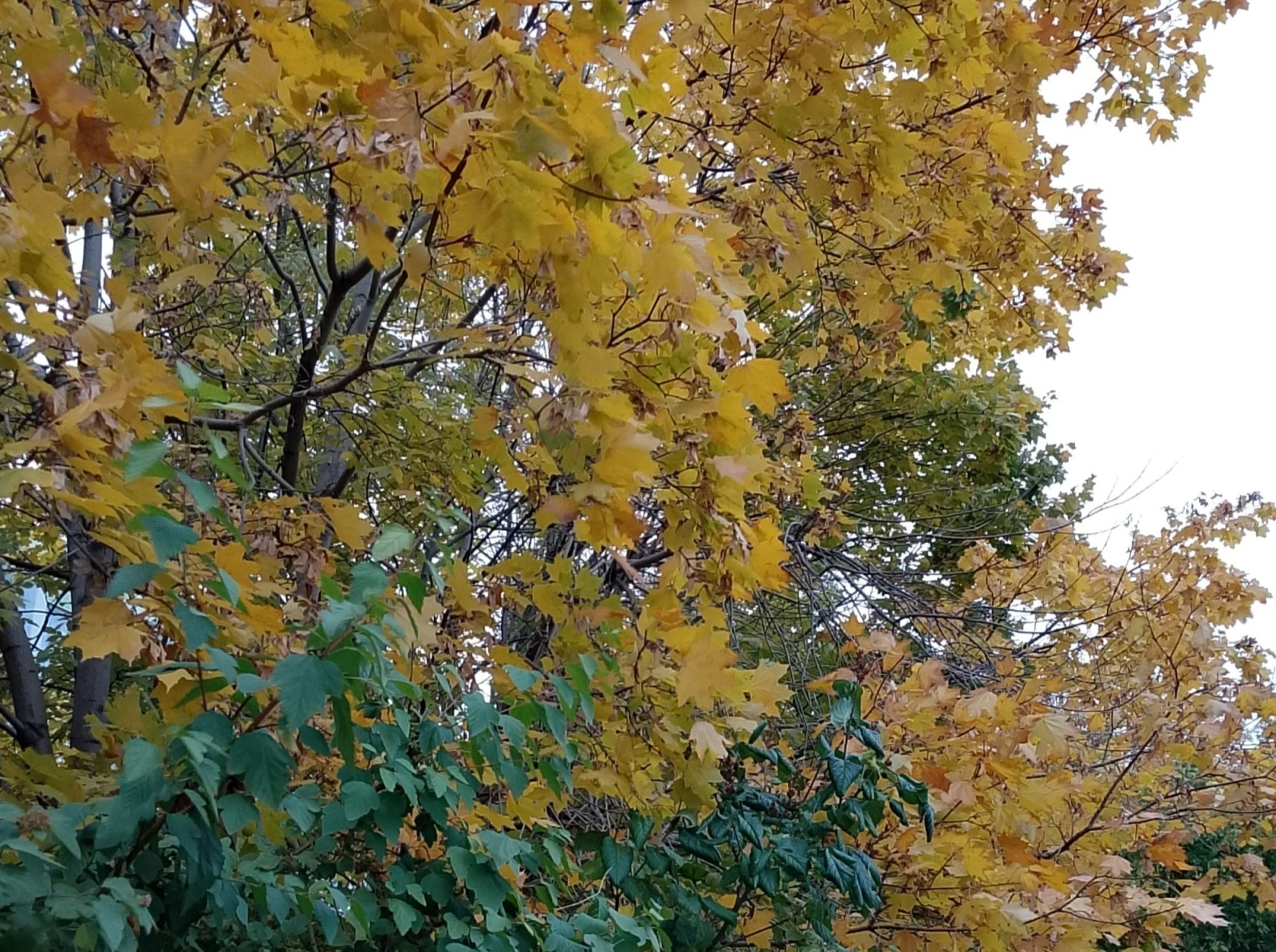 Иллюстрация к публикации