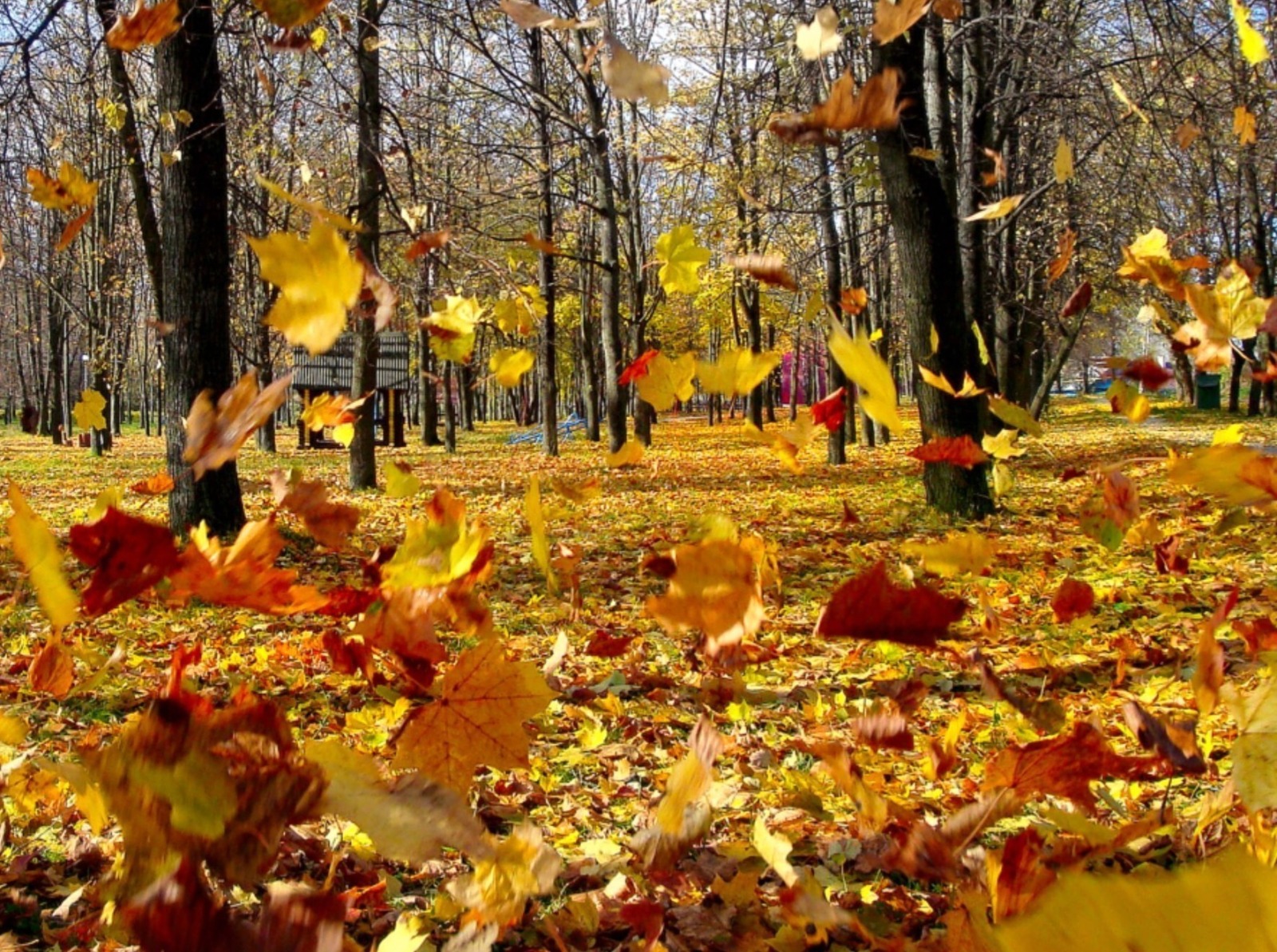 Иллюстрация к публикации