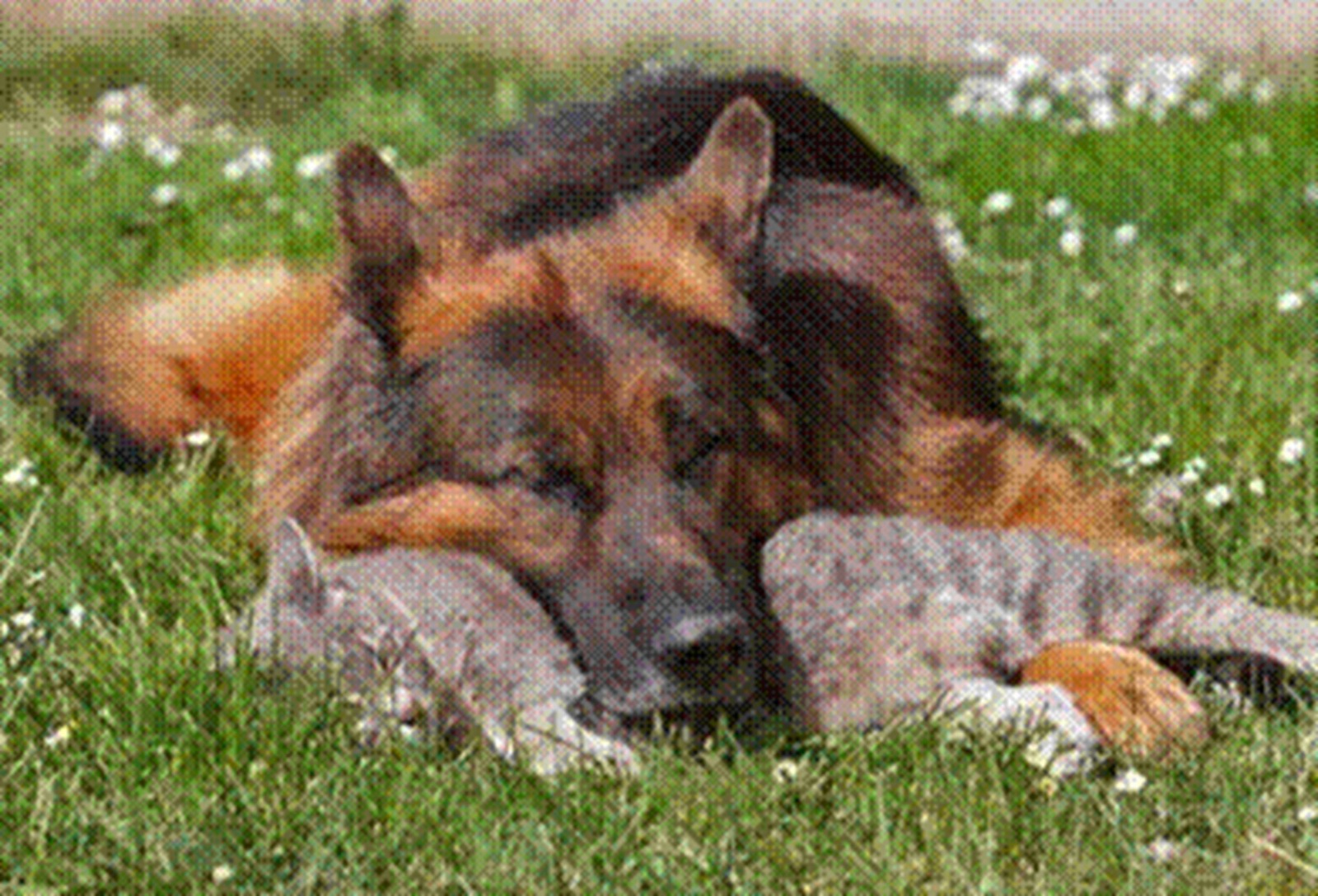 Иллюстрация к публикации