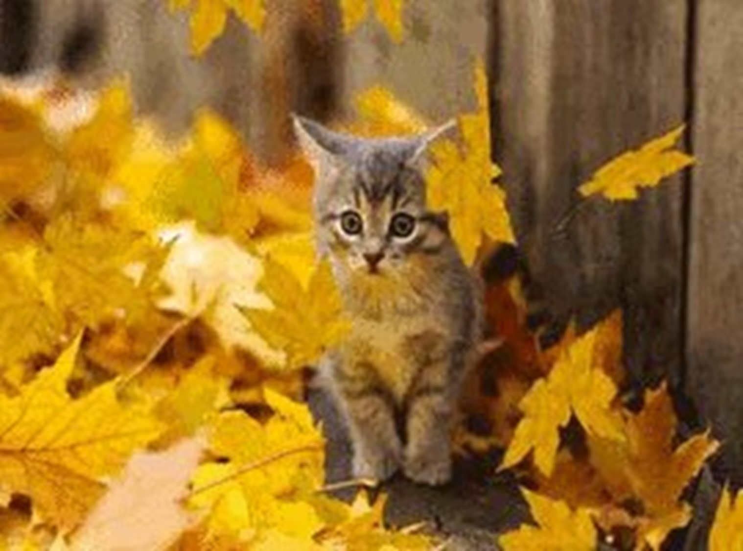 Иллюстрация к публикации