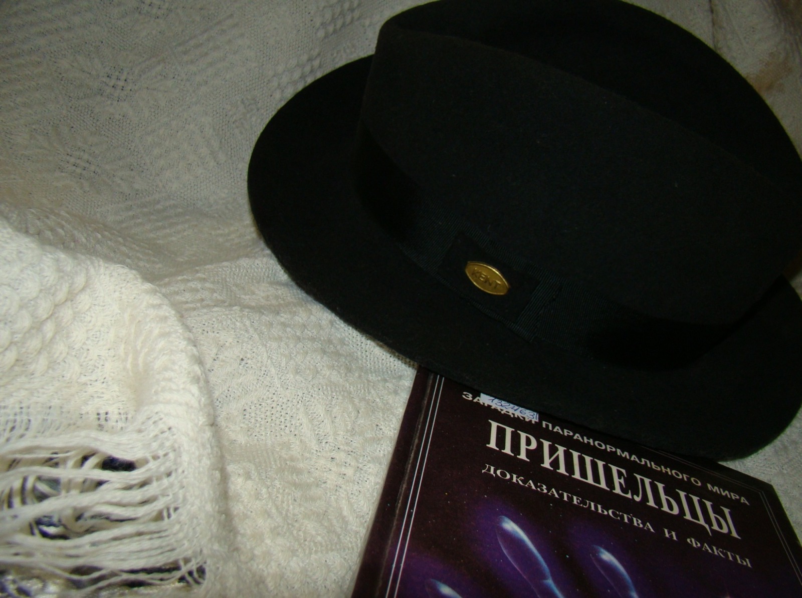 Иллюстрация к публикации