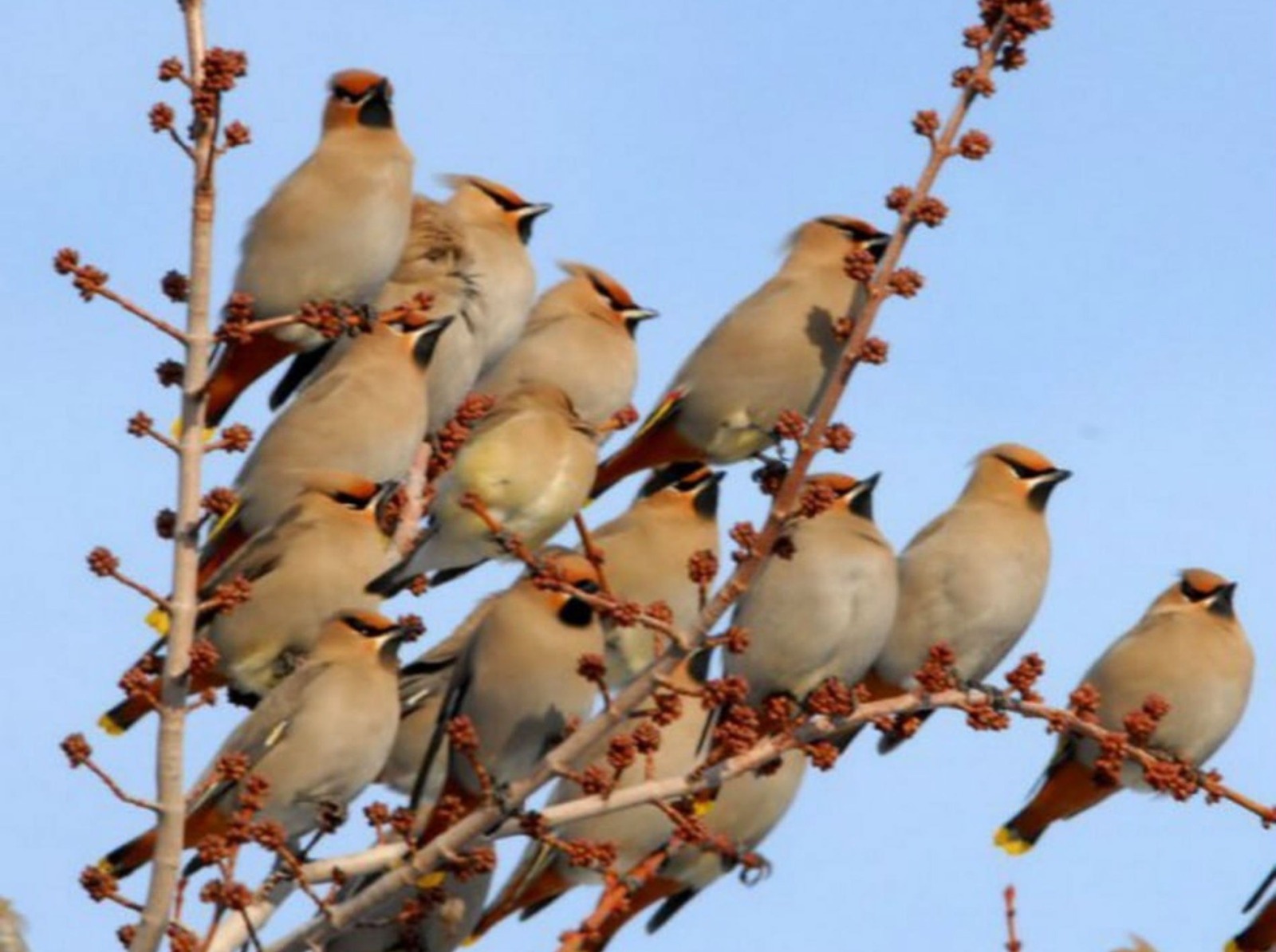 Иллюстрация к публикации