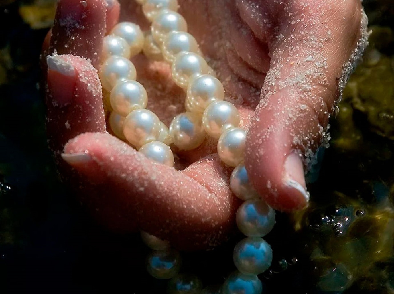 Иллюстрация к публикации