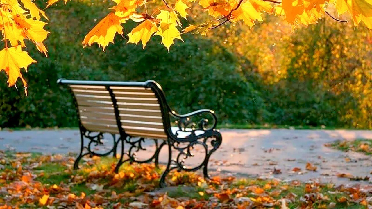 Иллюстрация к публикации