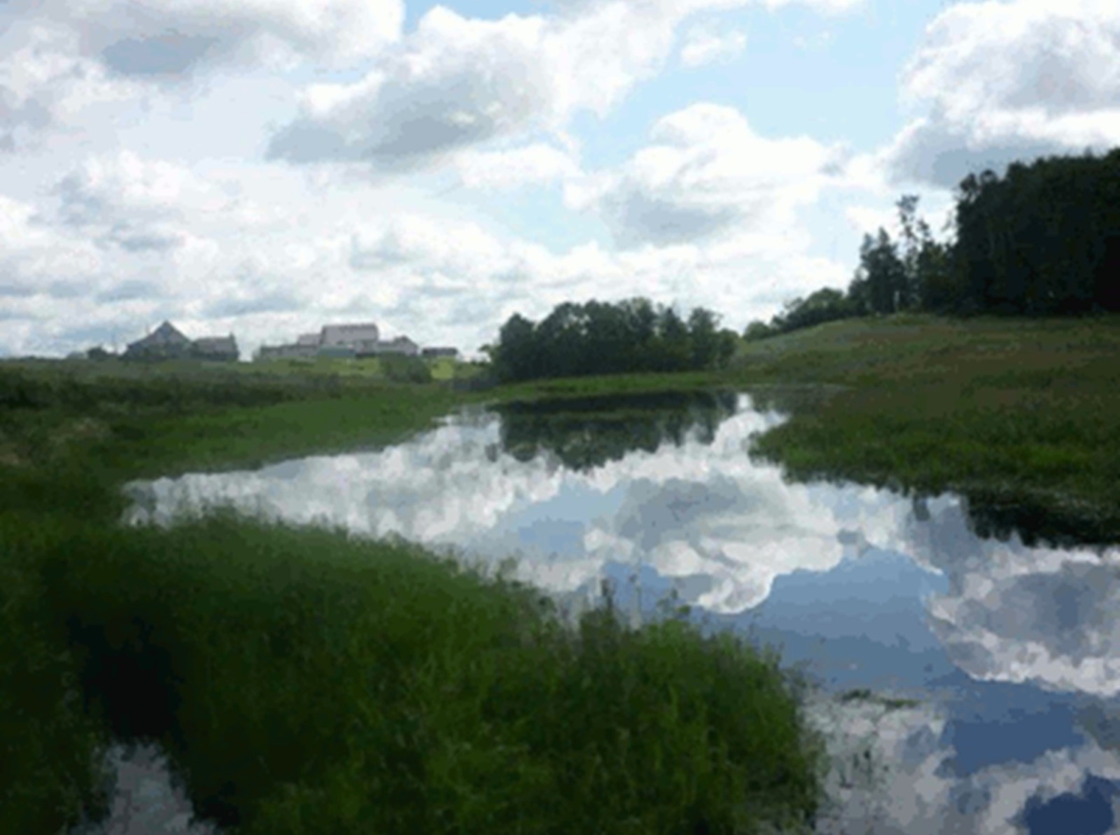 Иллюстрация к публикации