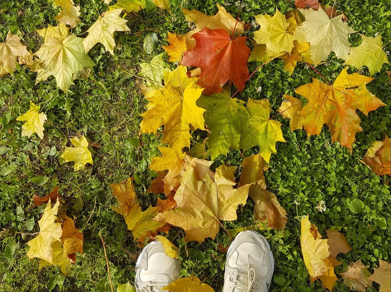 Иллюстрация к публикации