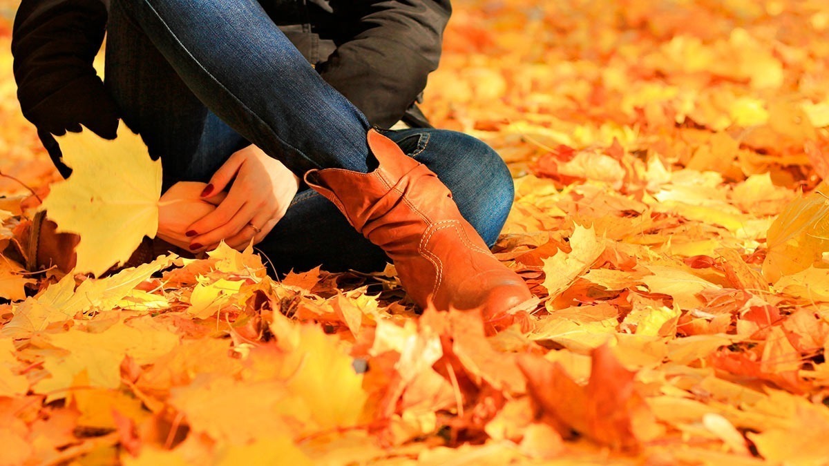 Иллюстрация к публикации