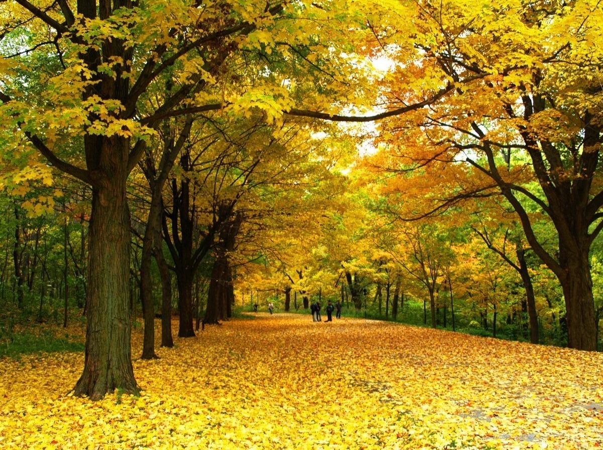 Иллюстрация к публикации