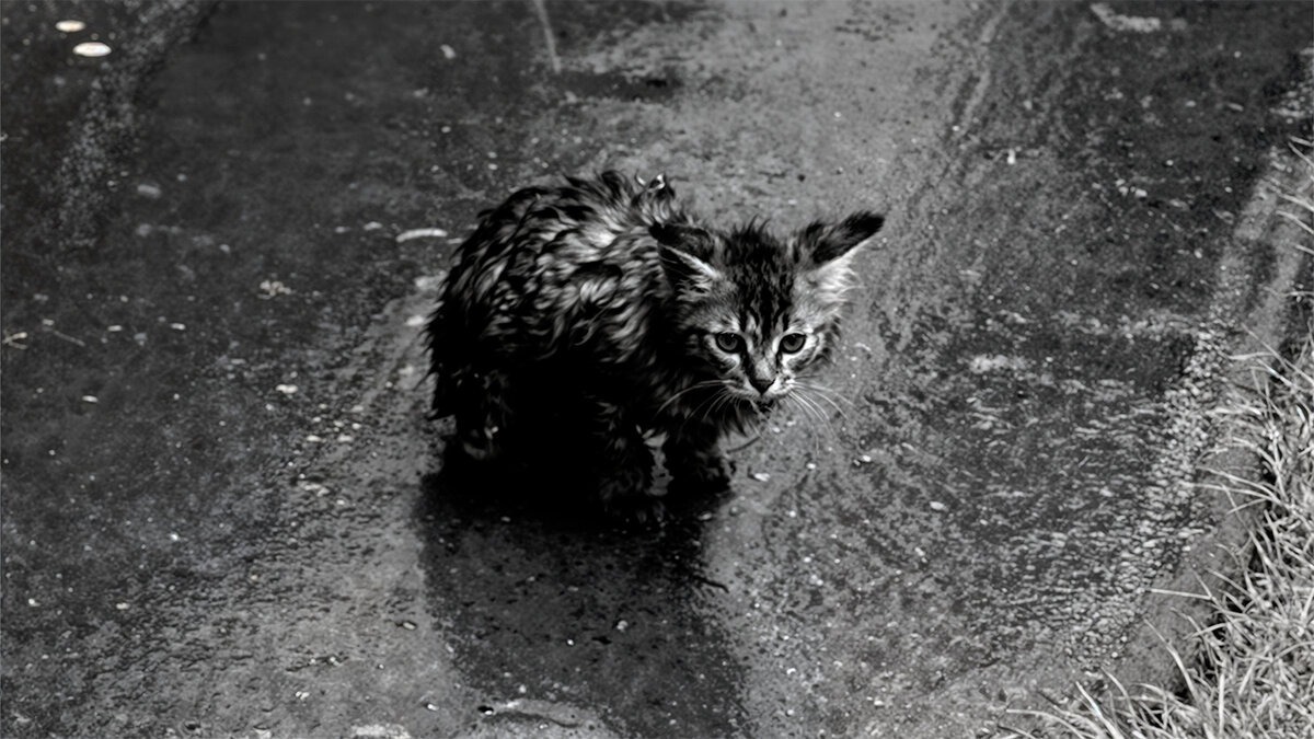 Иллюстрация к публикации