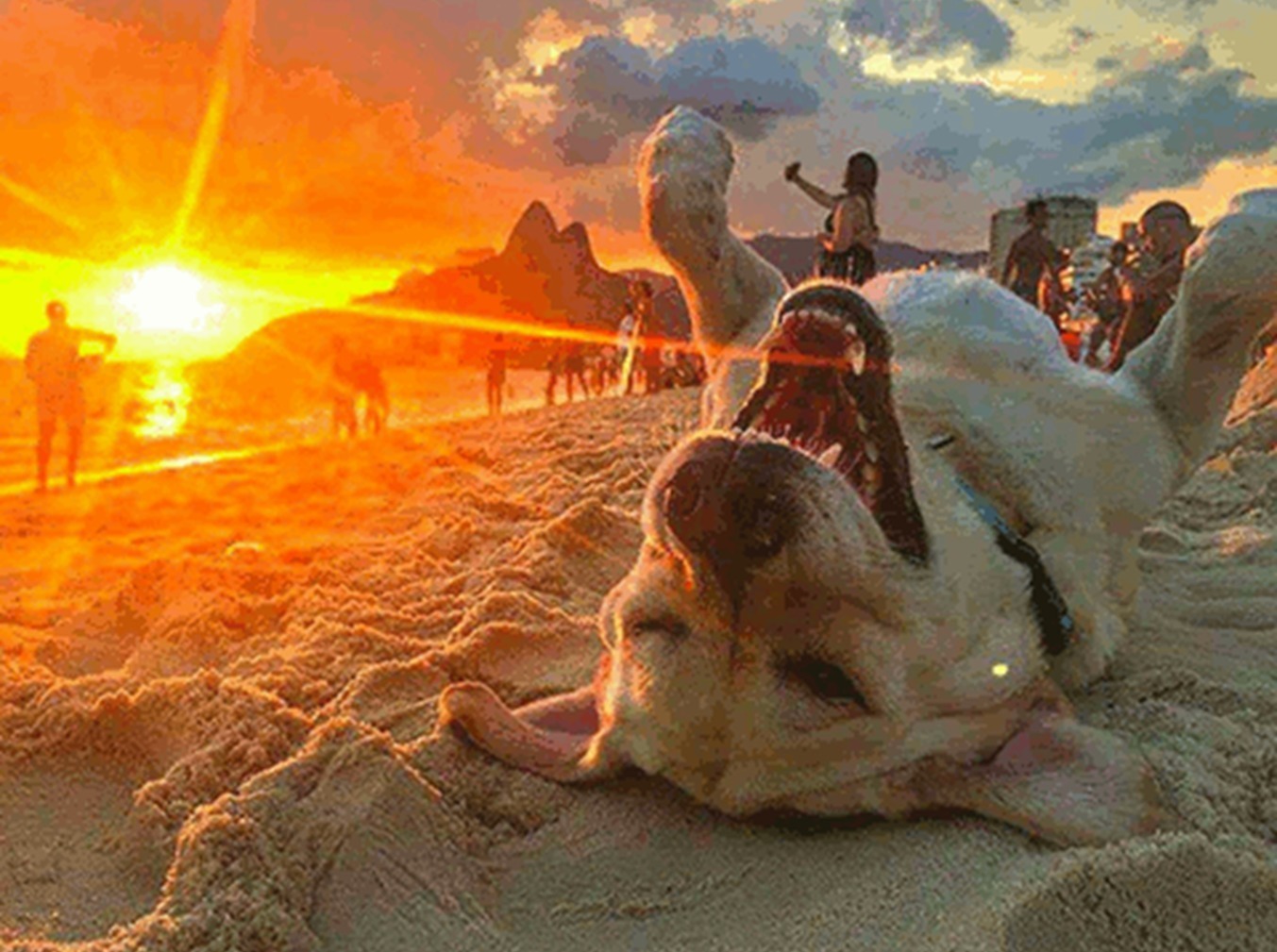 Иллюстрация к публикации