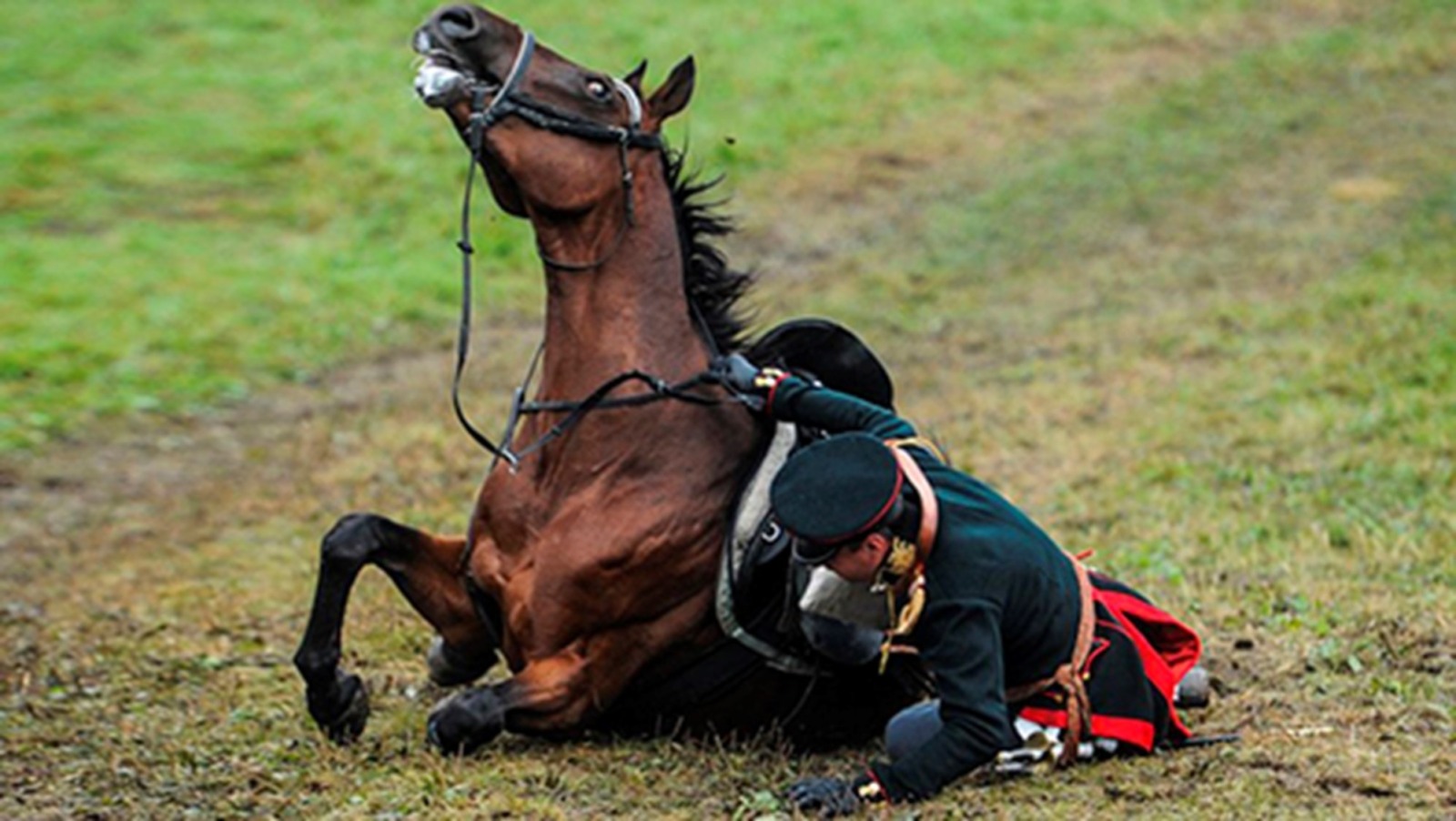 Иллюстрация к публикации
