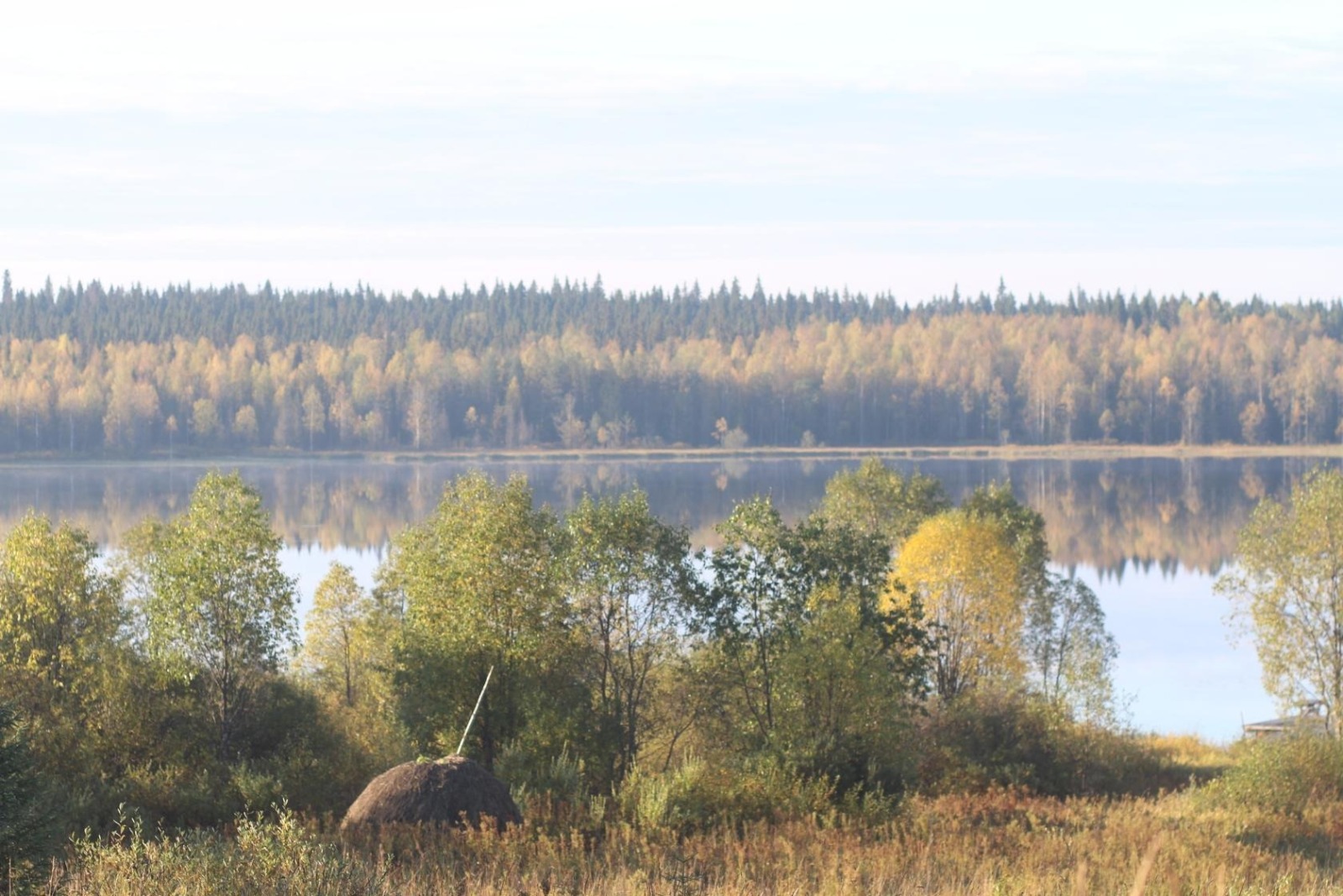 Иллюстрация к публикации