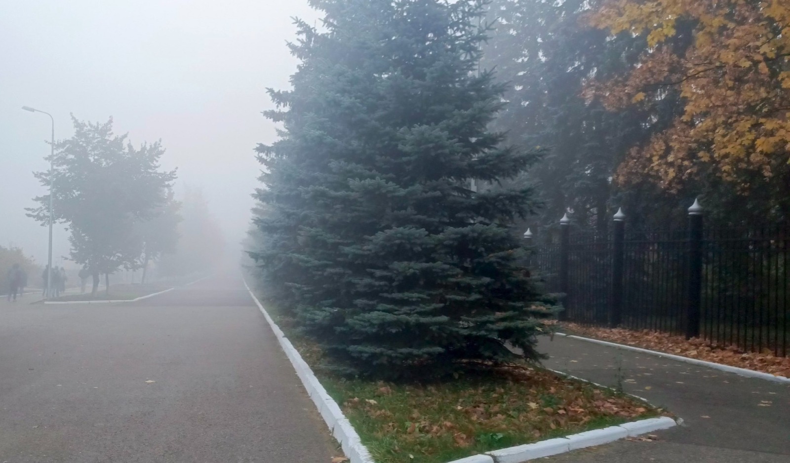 Иллюстрация к публикации