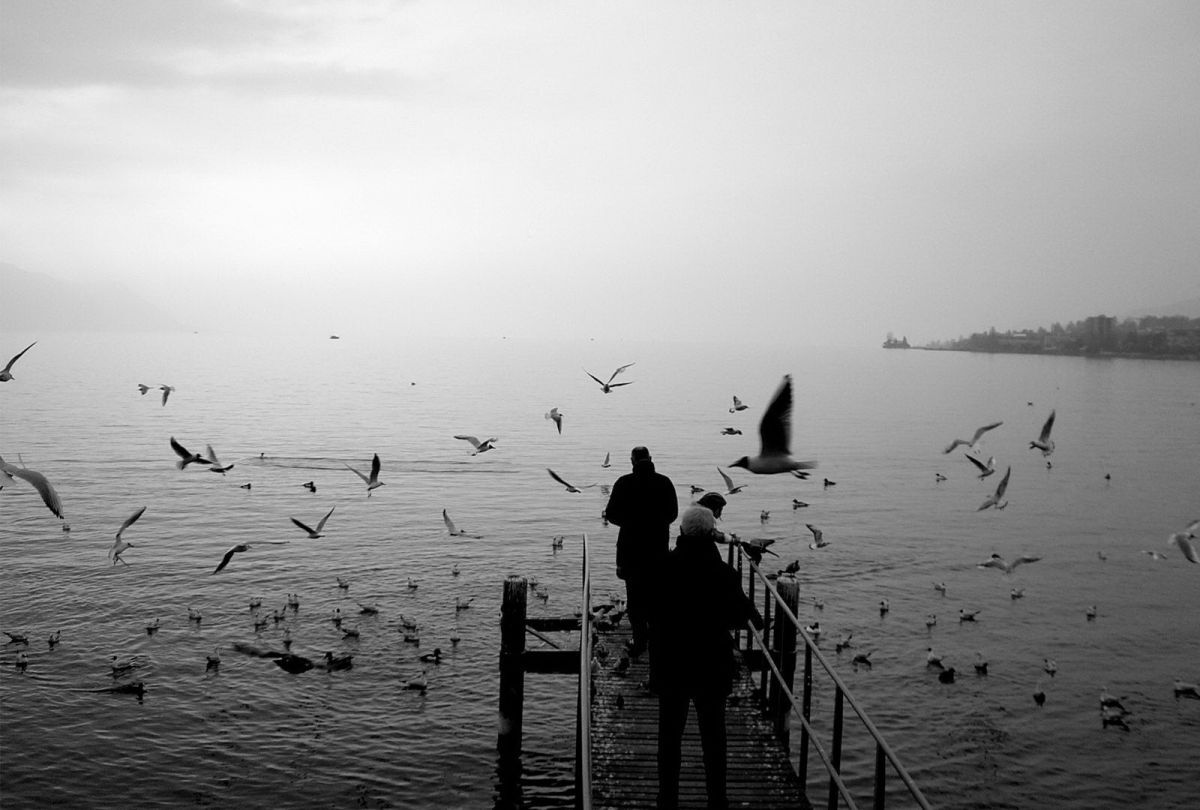 Иллюстрация к публикации