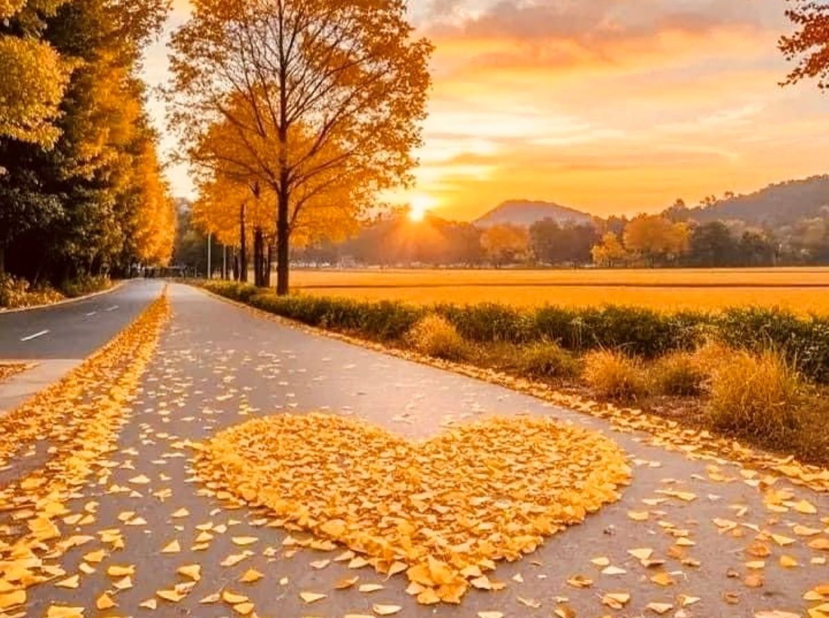 Иллюстрация к публикации