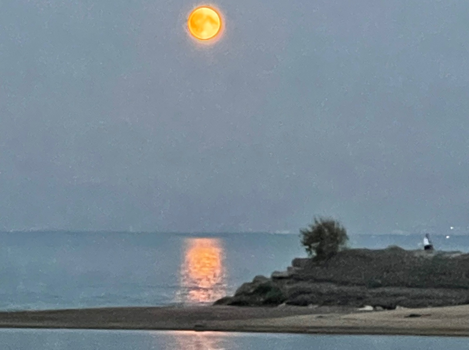 Иллюстрация к публикации