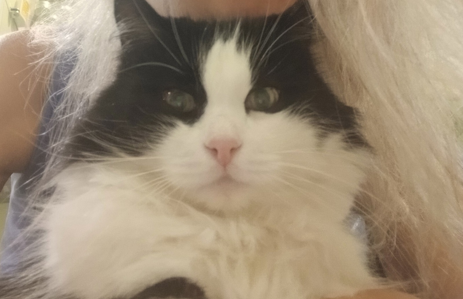 Иллюстрация к публикации