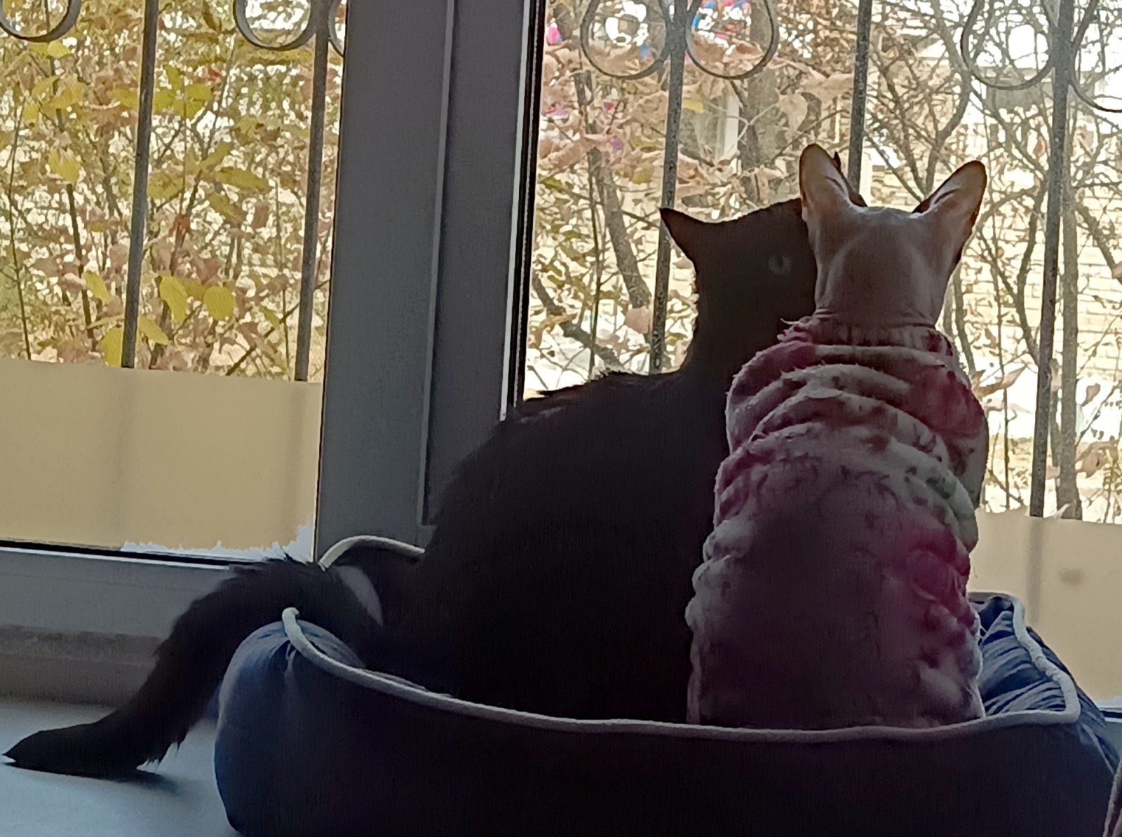 Иллюстрация к публикации