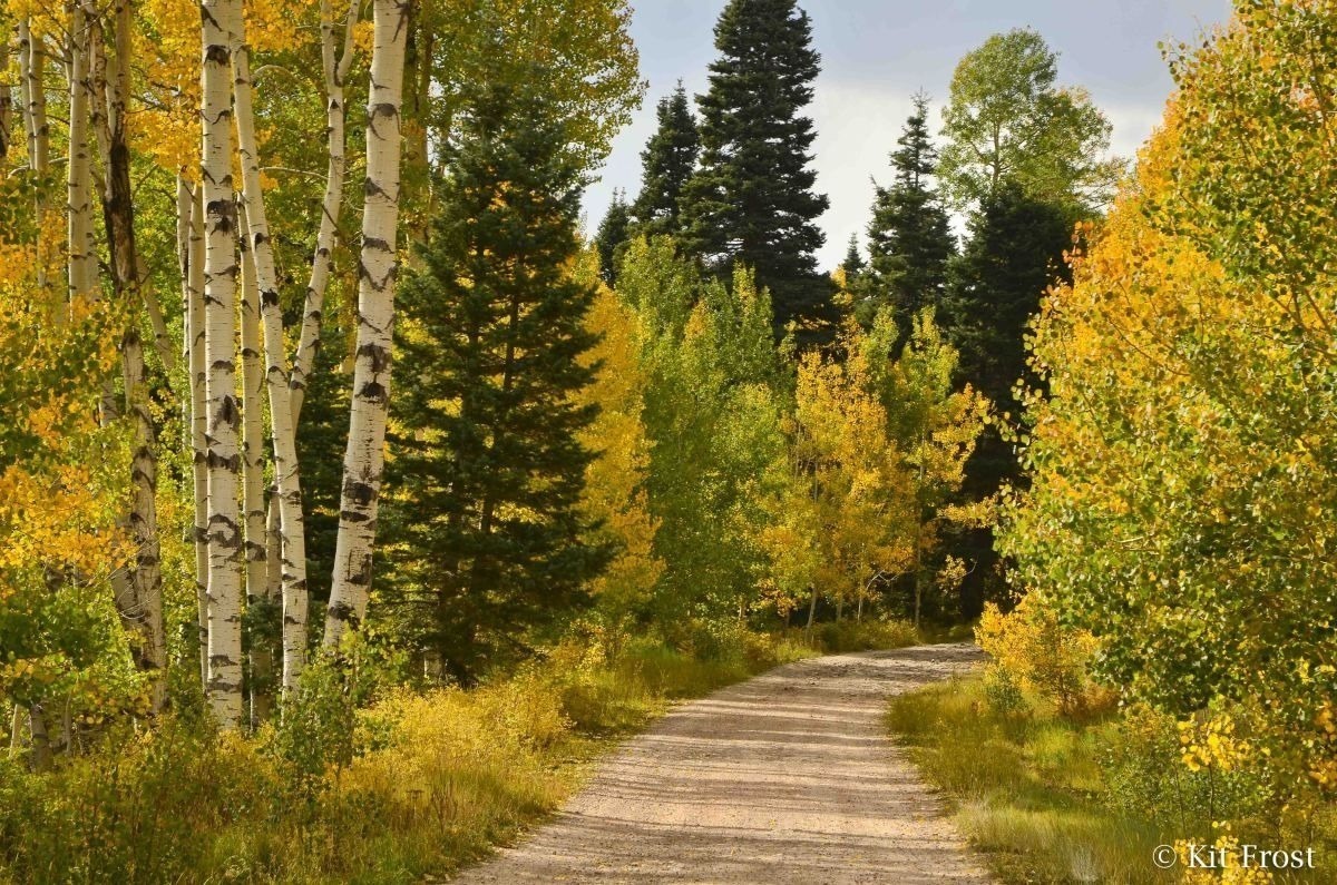 Иллюстрация к публикации