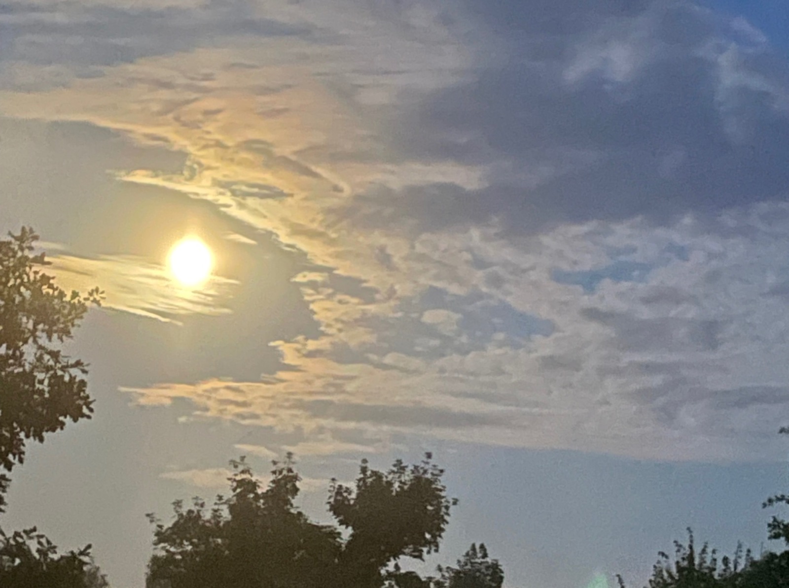 Иллюстрация к публикации