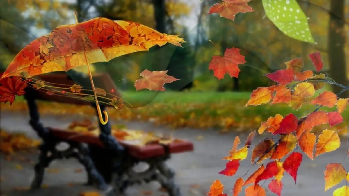 Иллюстрация к публикации