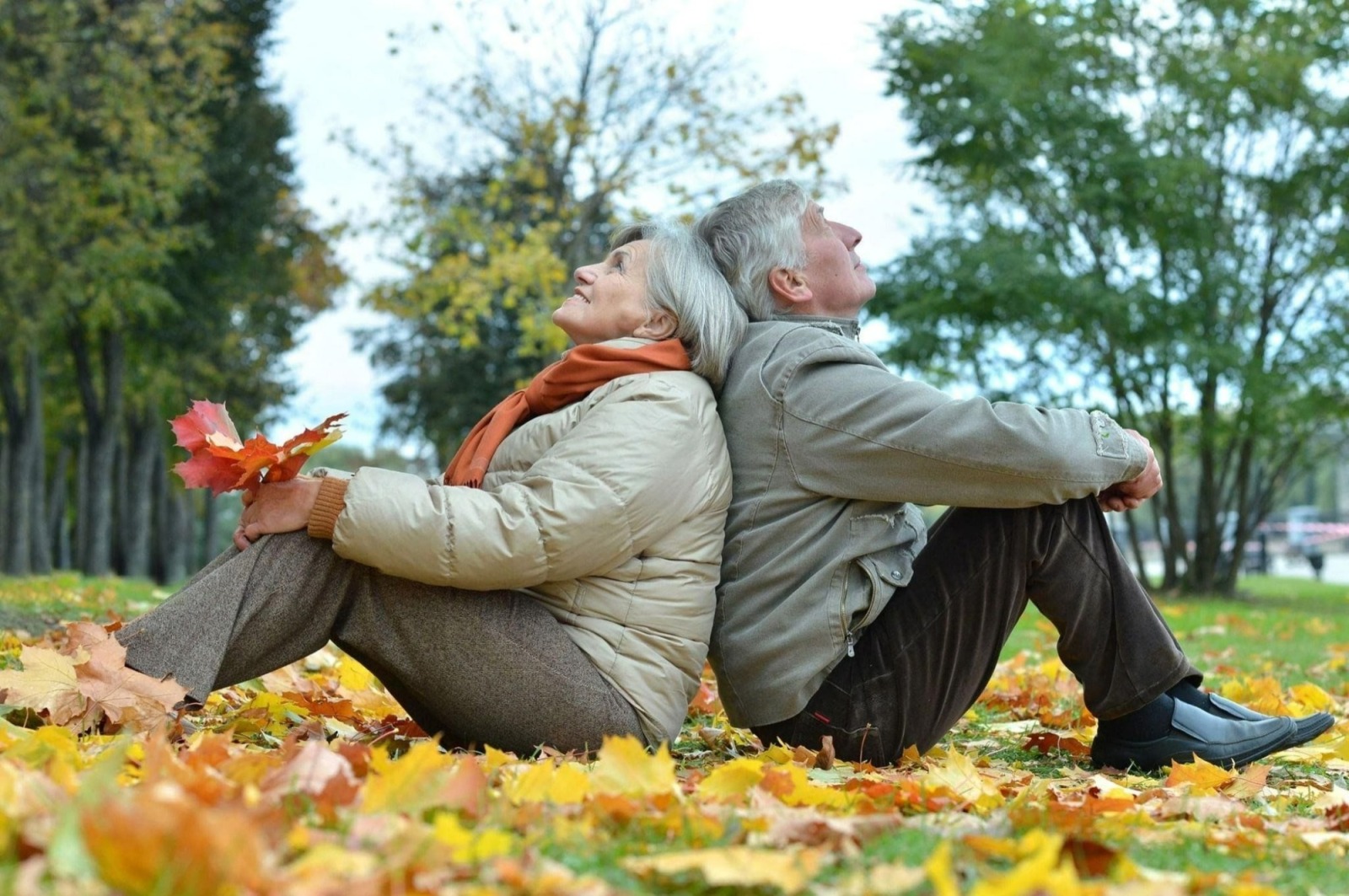 Иллюстрация к публикации