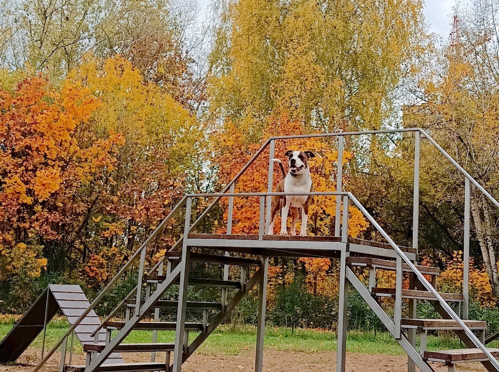Иллюстрация к публикации