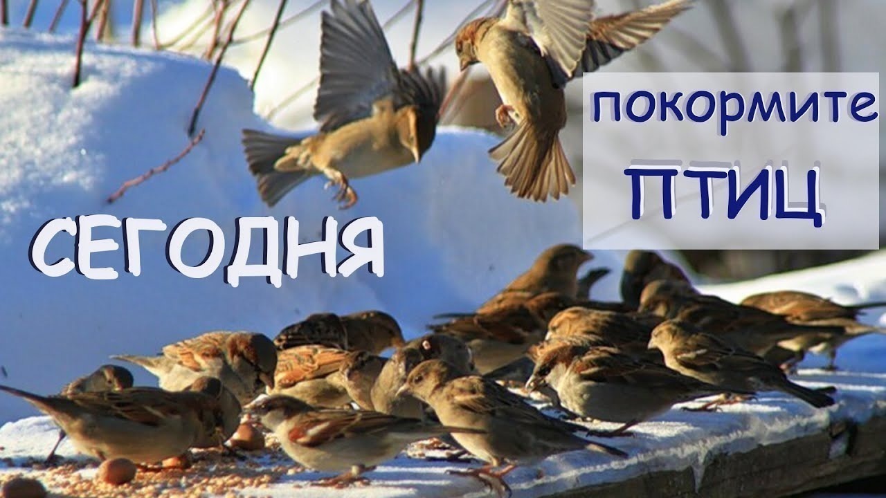 Иллюстрация к публикации