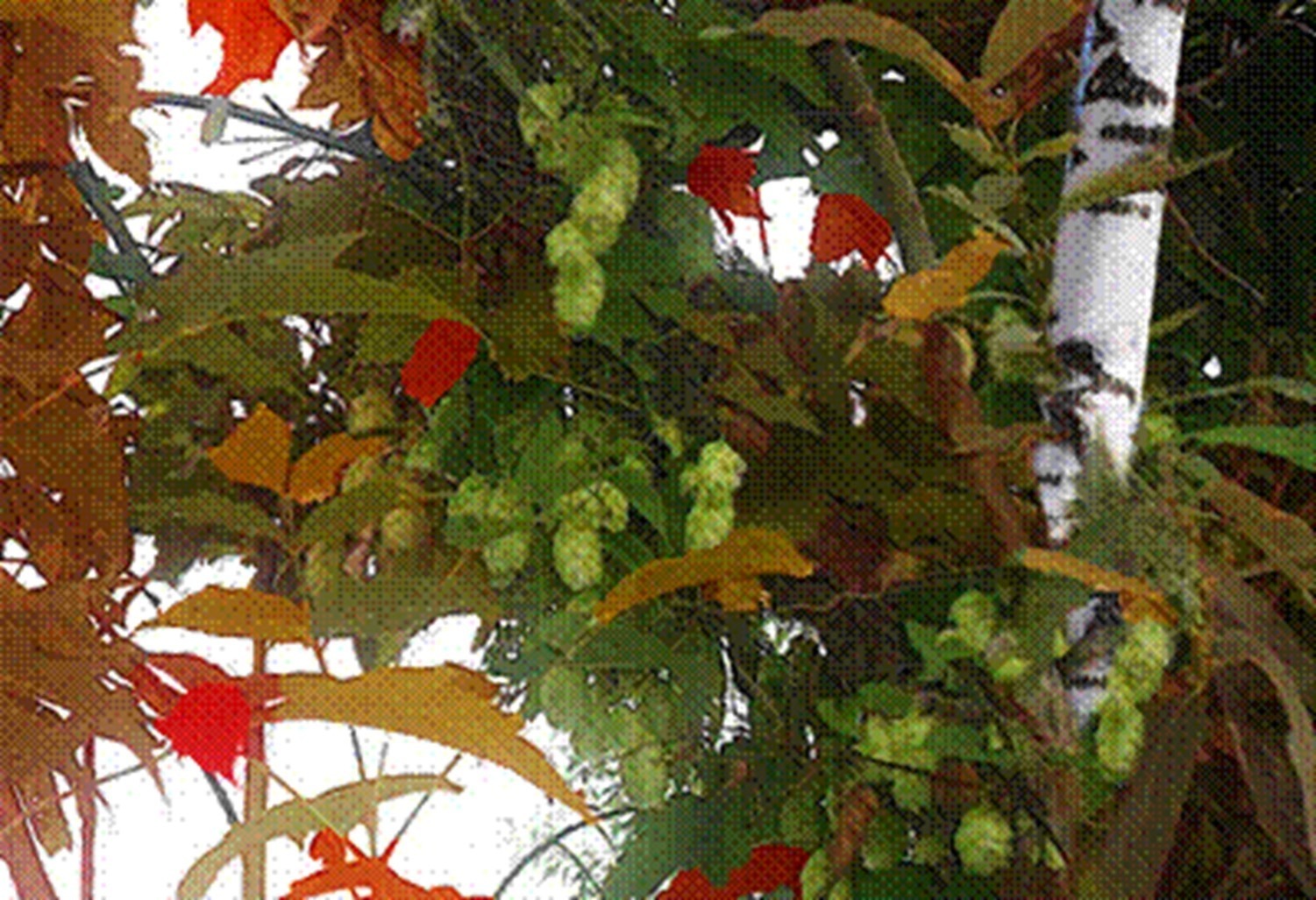 Иллюстрация к публикации