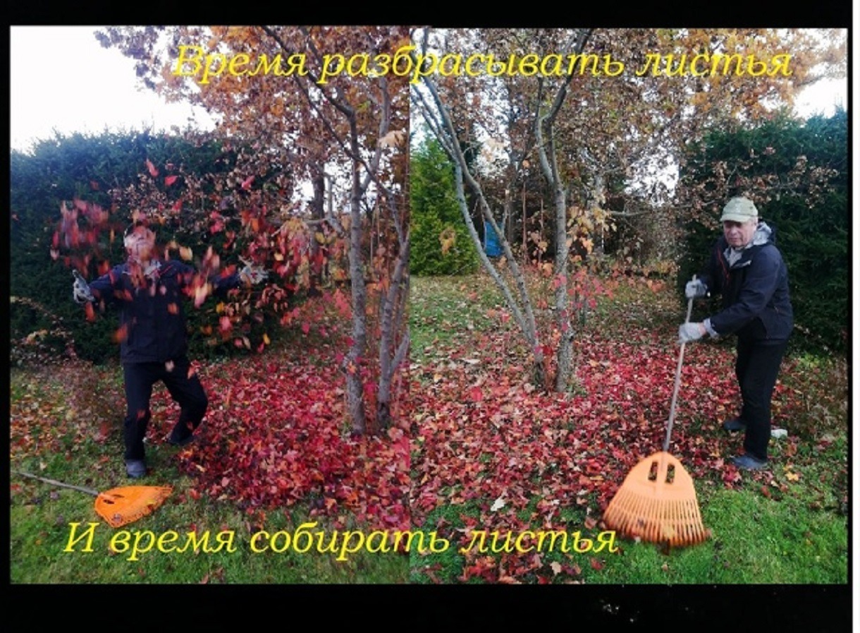 Иллюстрация к публикации