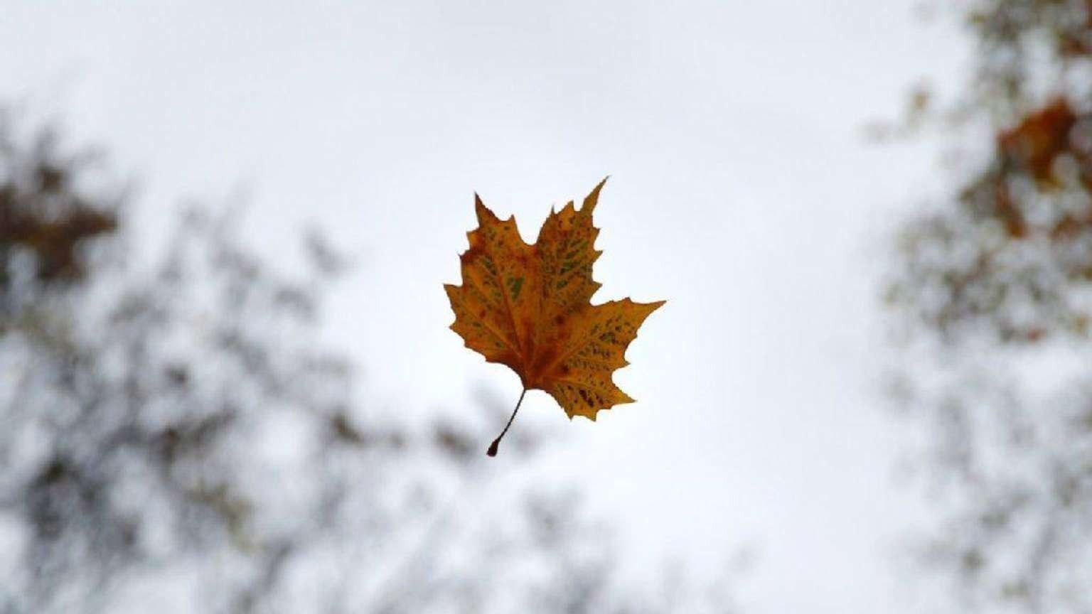 Иллюстрация к публикации