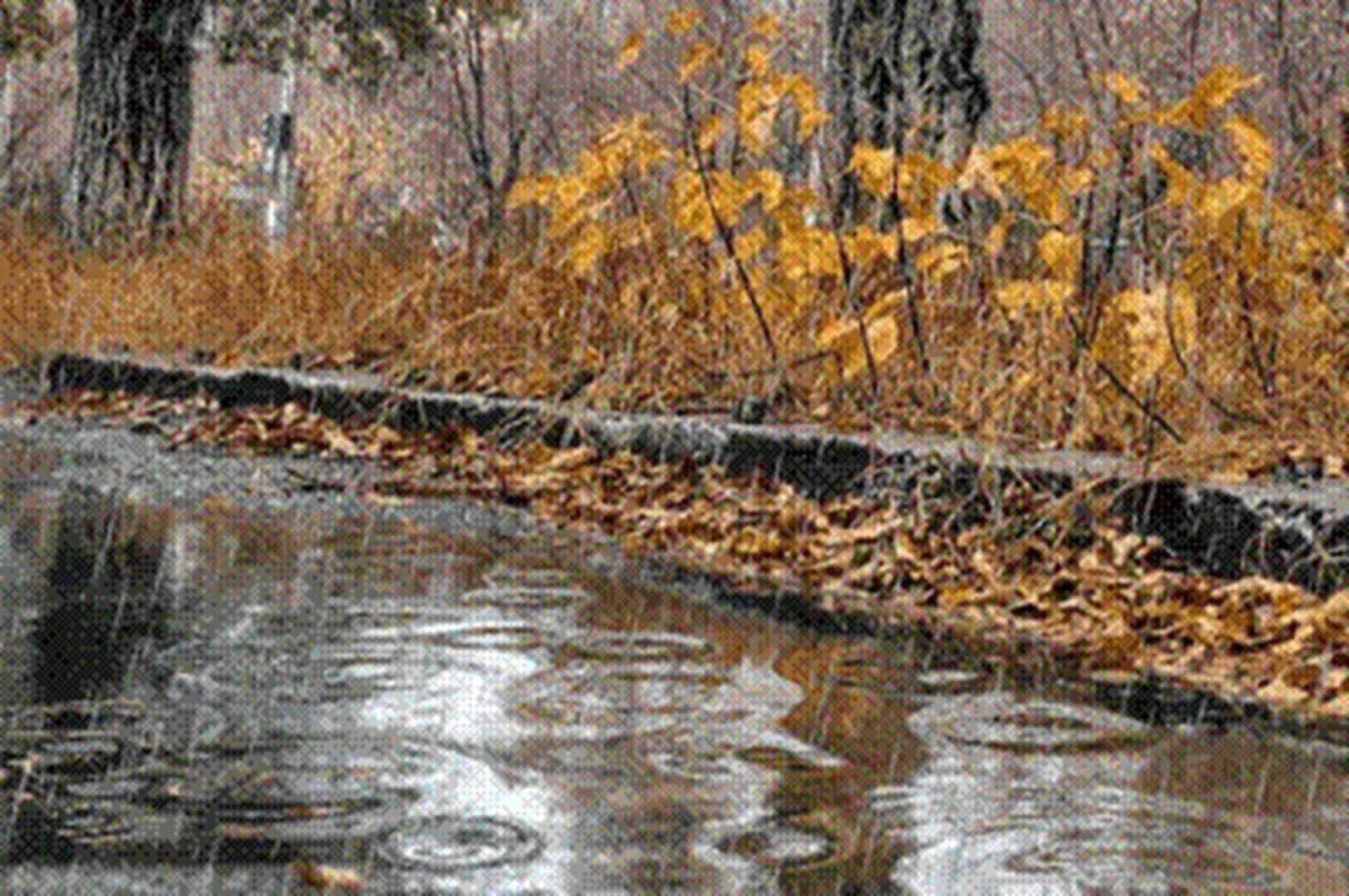 Иллюстрация к публикации