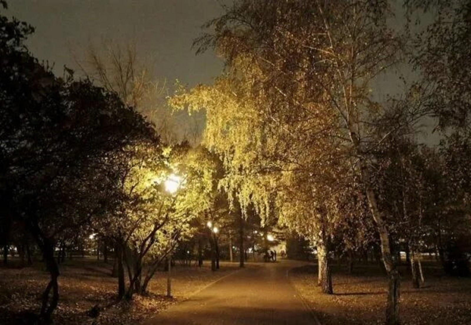 Иллюстрация к публикации