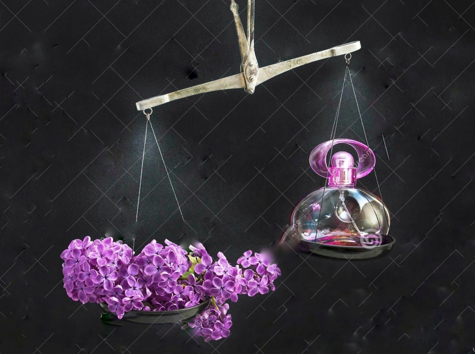 Иллюстрация к публикации