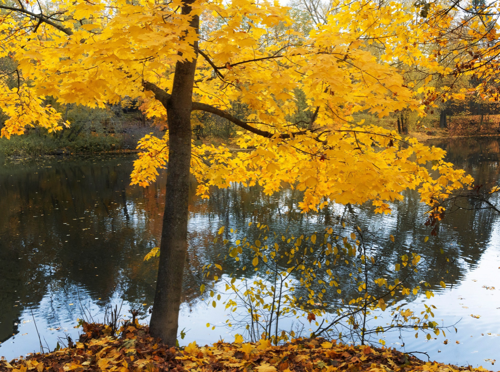 Иллюстрация к публикации