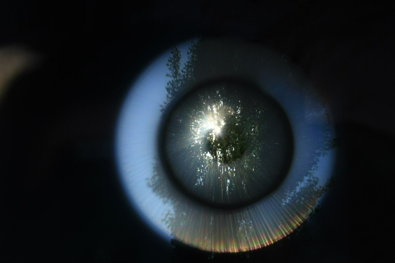 Иллюстрация к публикации