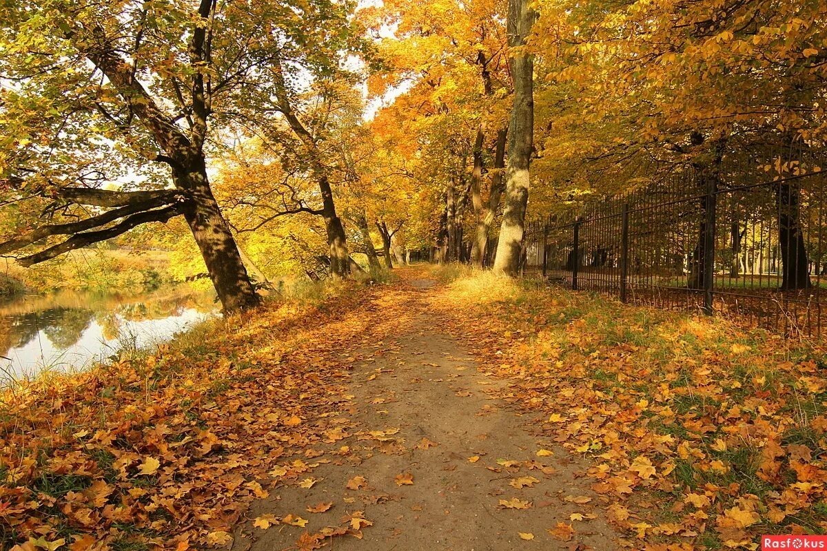 Иллюстрация к публикации