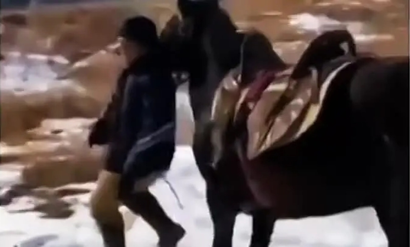 Иллюстрация к публикации