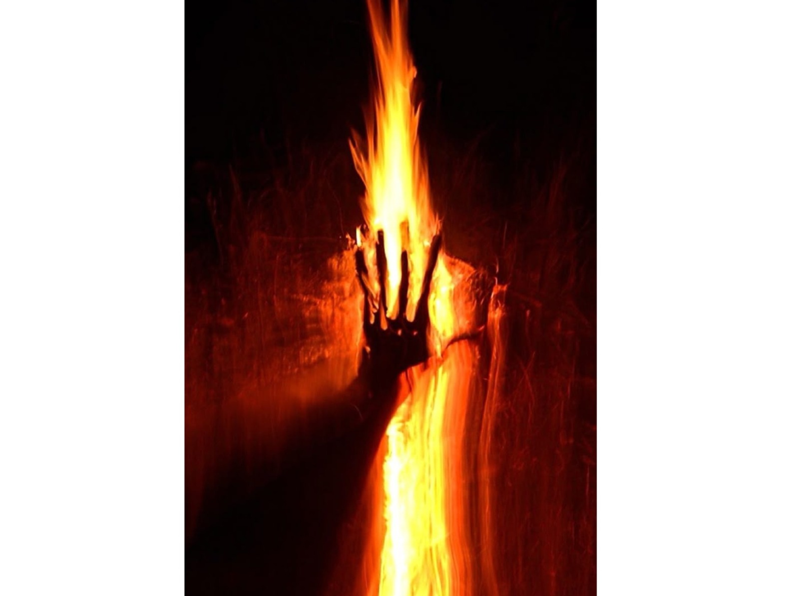 Иллюстрация к публикации