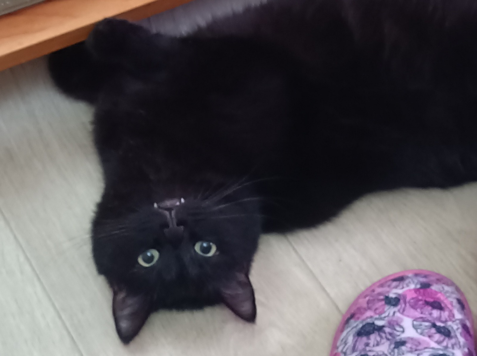 Иллюстрация к публикации