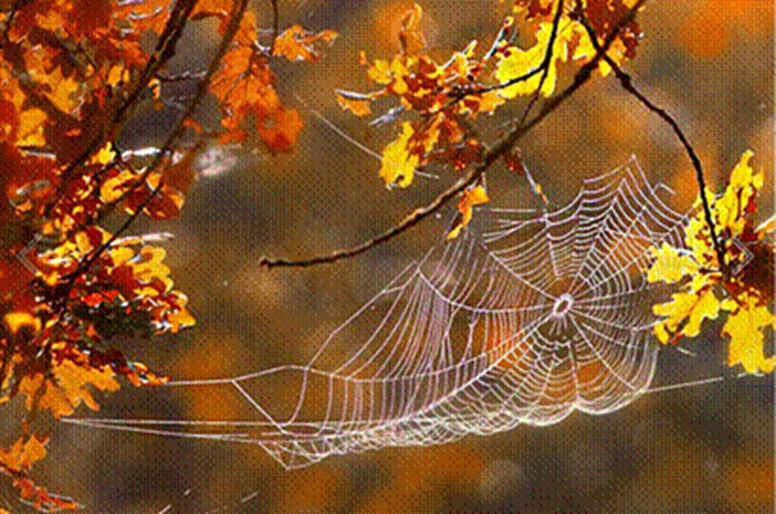 Иллюстрация к публикации