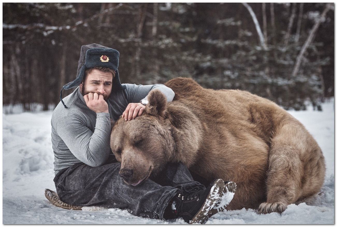 Иллюстрация к публикации