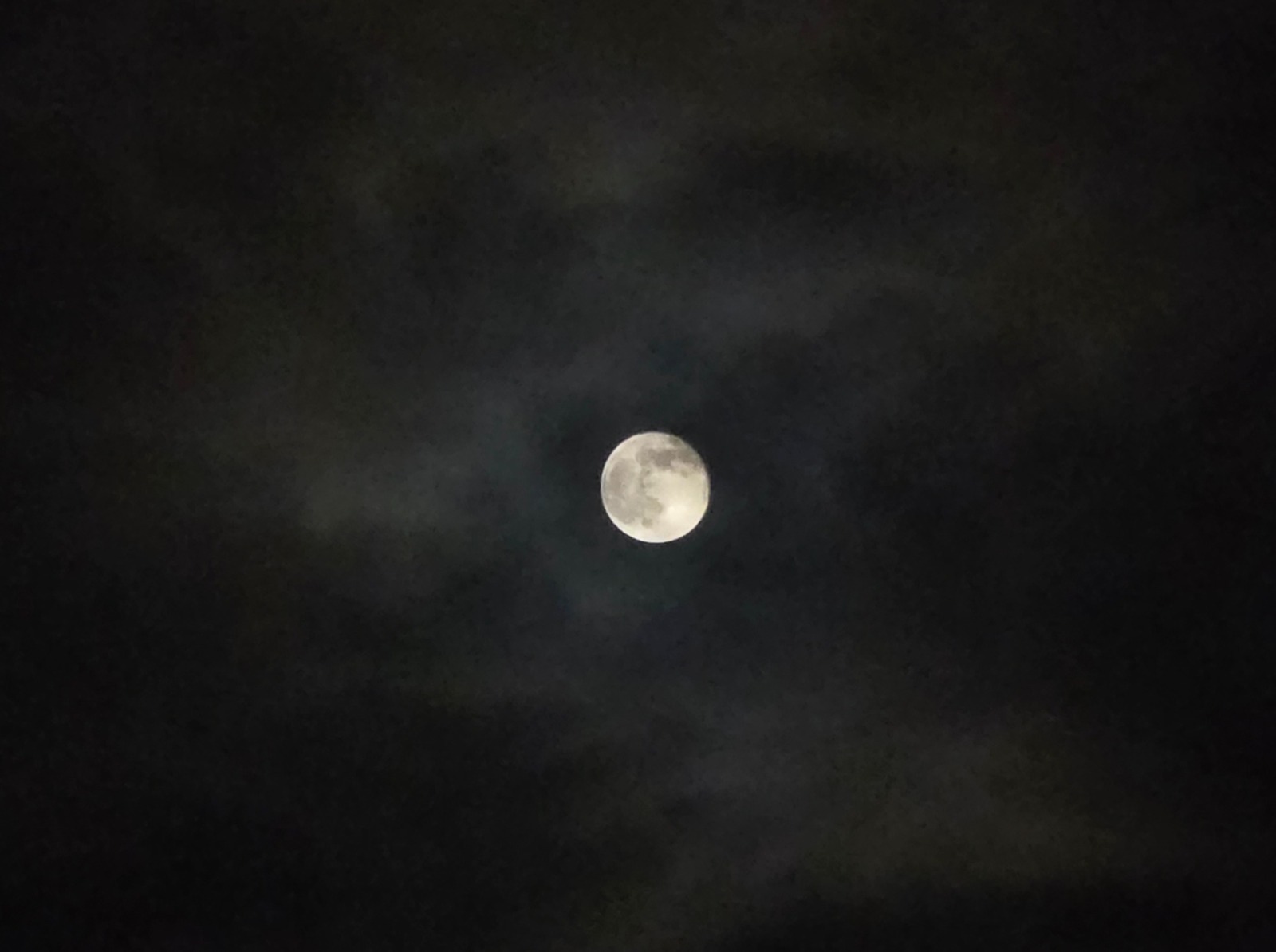 Иллюстрация к публикации