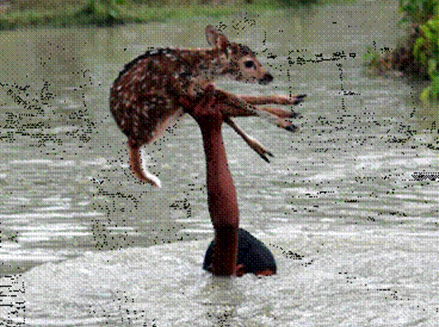 Иллюстрация к публикации