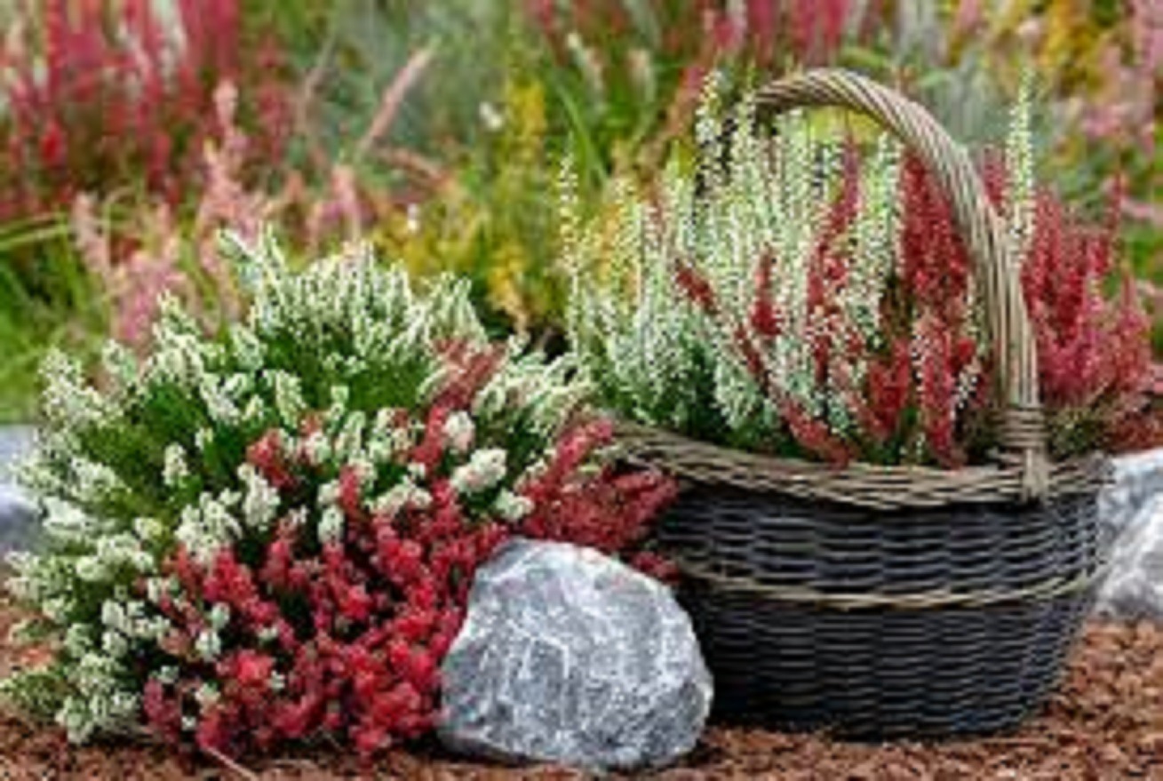 Иллюстрация к публикации